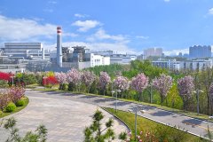 河鋼集團(tuán)唐鋼公司低壓控制柜、PLC控制柜、中控室系統(tǒng)